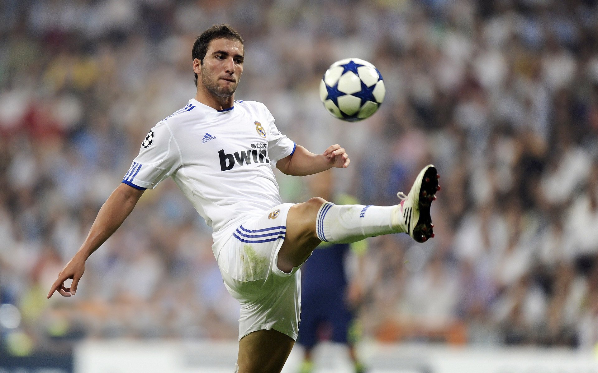 开云体育官方网站-F1年度争冠之夜，内马尔个人能力完全展现，当赛道与绿茵场共享同一种心跳