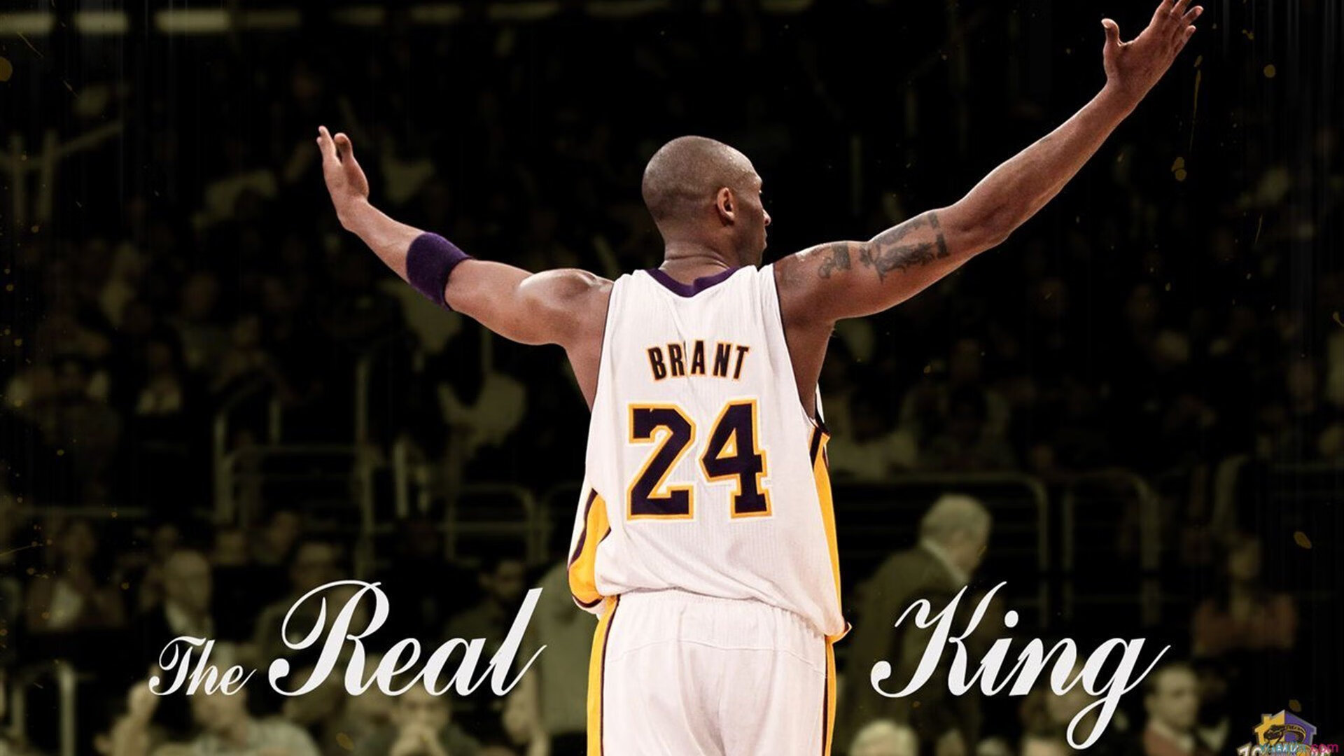 哈利伯顿，当聚光灯亮起，猛龙节奏如何撕碎湖人防线？